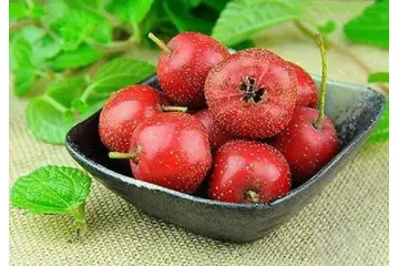 Alıç Ağacı Türleri ve Özellikleri